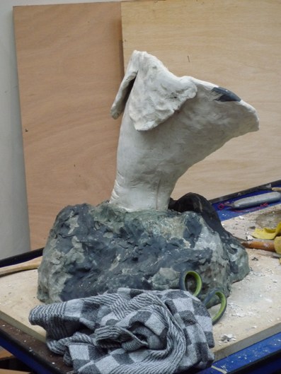 varken in de grond